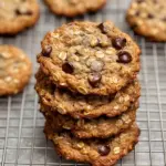 Oatmeal Chocolate Chip Cookies Recipe