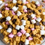 S'mores Snack Mix